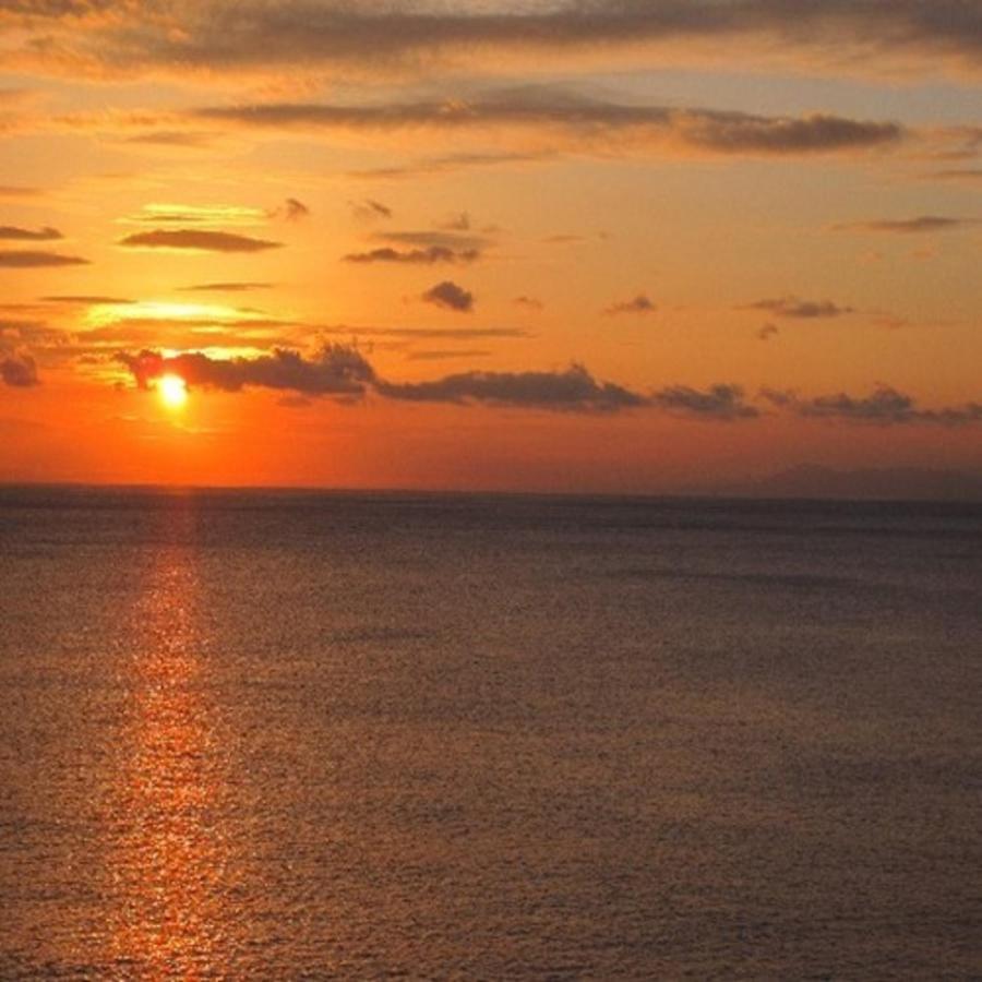 森の入り江の離れ宿 無雙庵枇杷 Izu (Shizuoka) Exterior foto